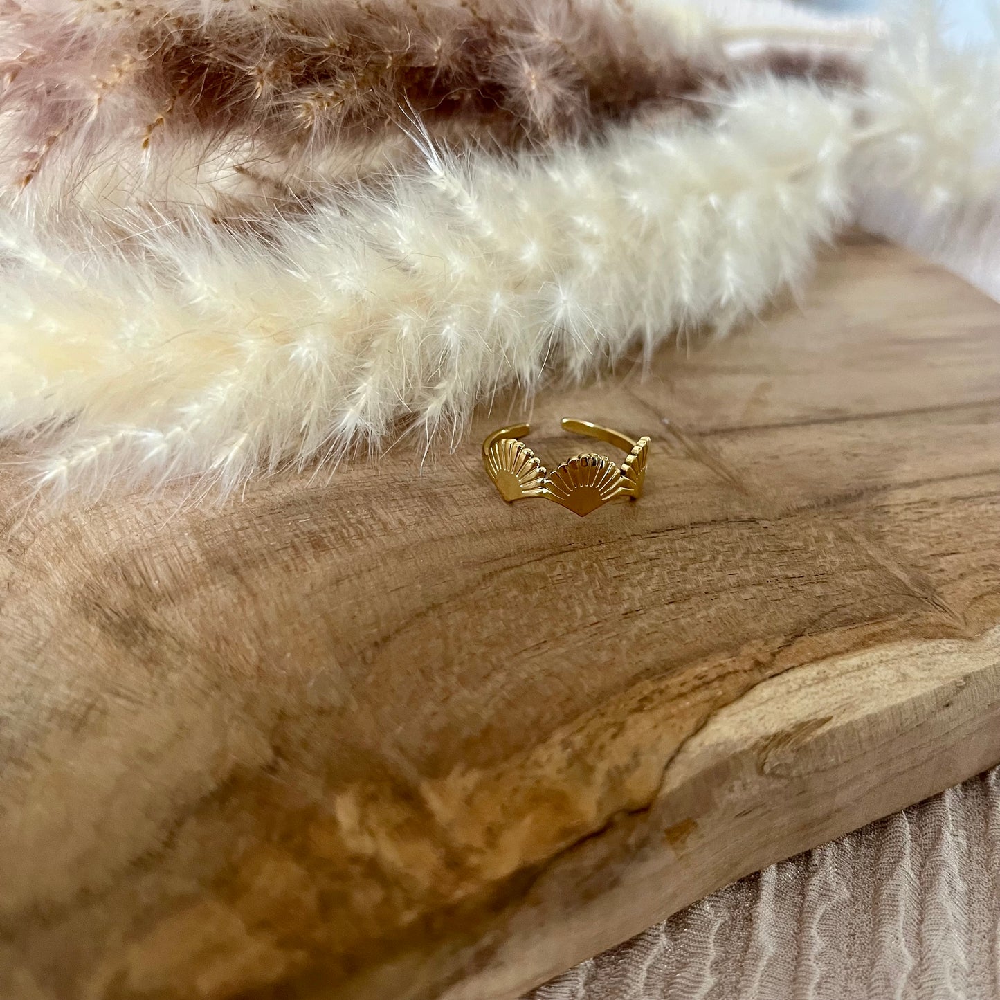 BAGUE - LANI