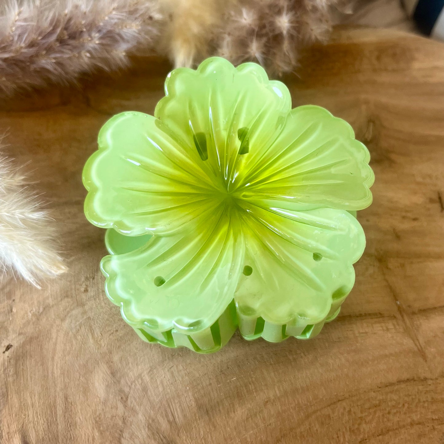 PINCE - HIBISCUS