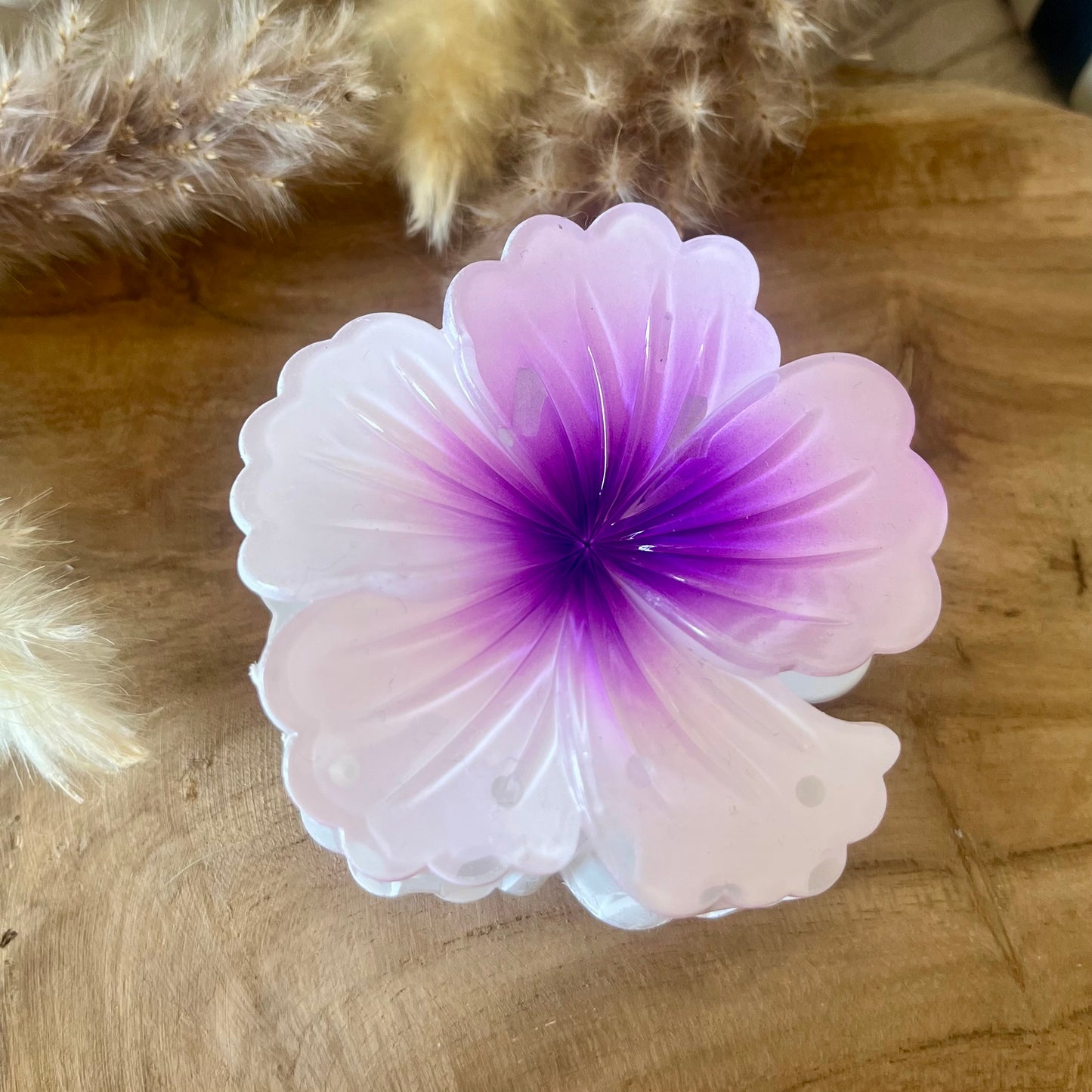 PINCE - HIBISCUS