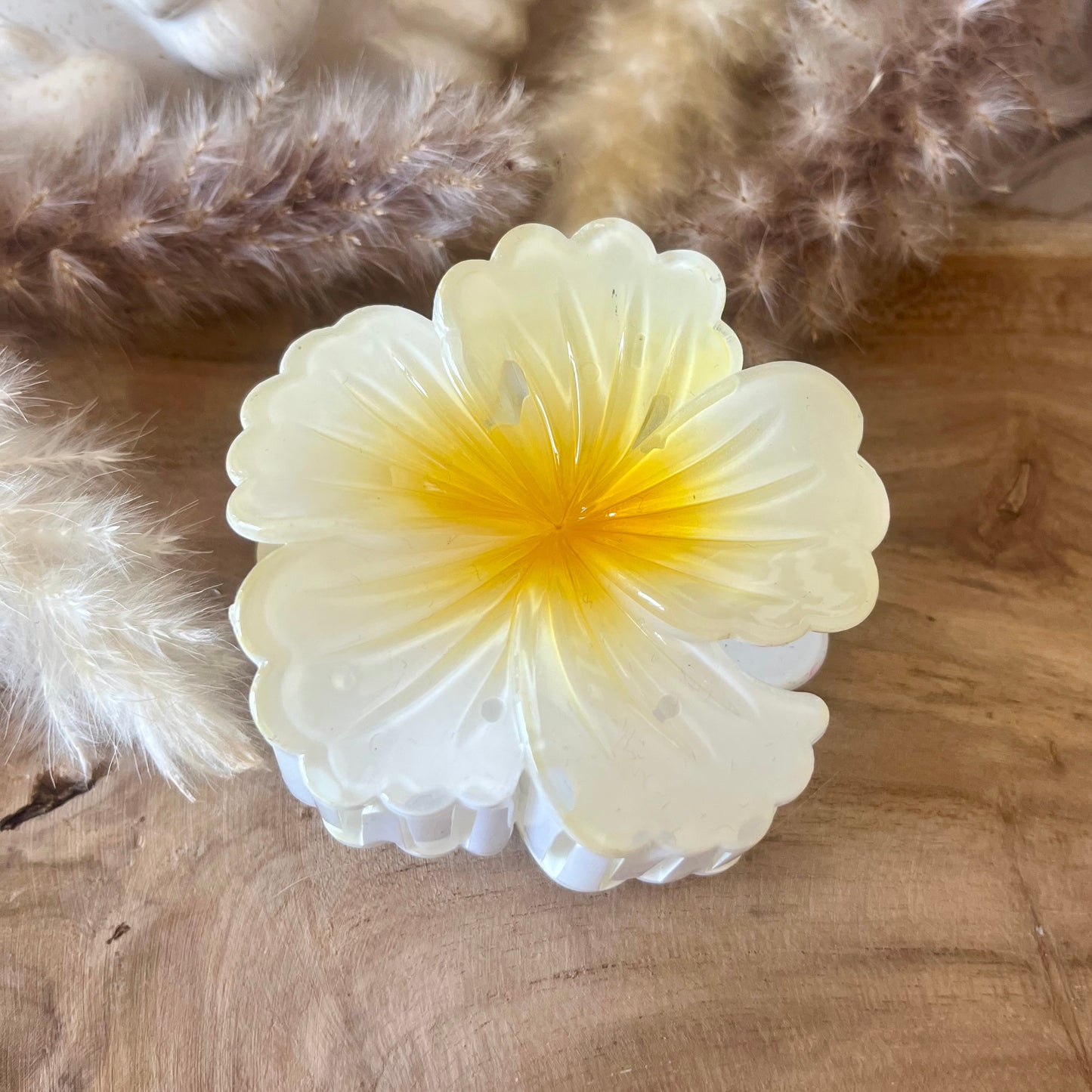 PINCE - HIBISCUS