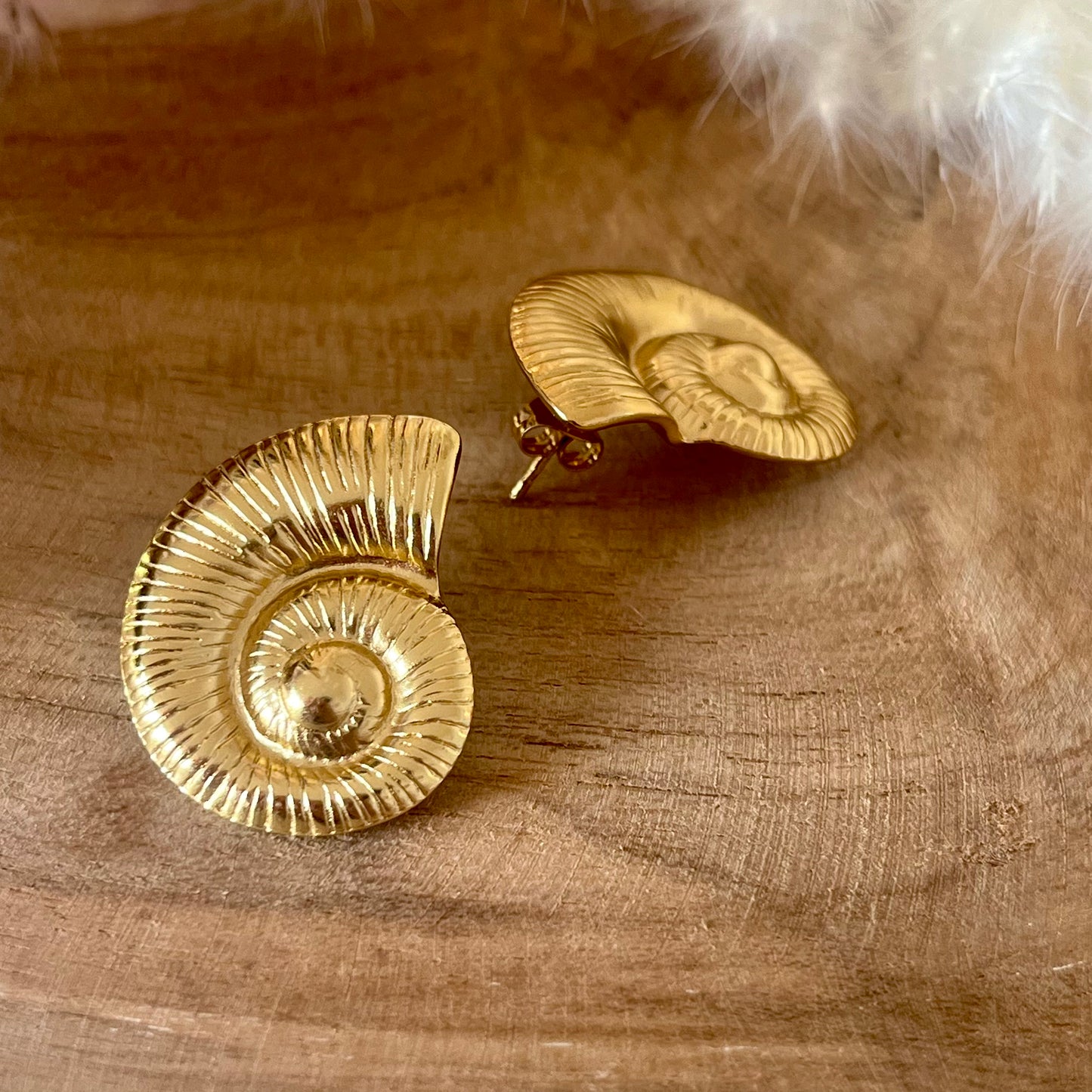 BOUCLES D’OREILLES - NAUTILIA