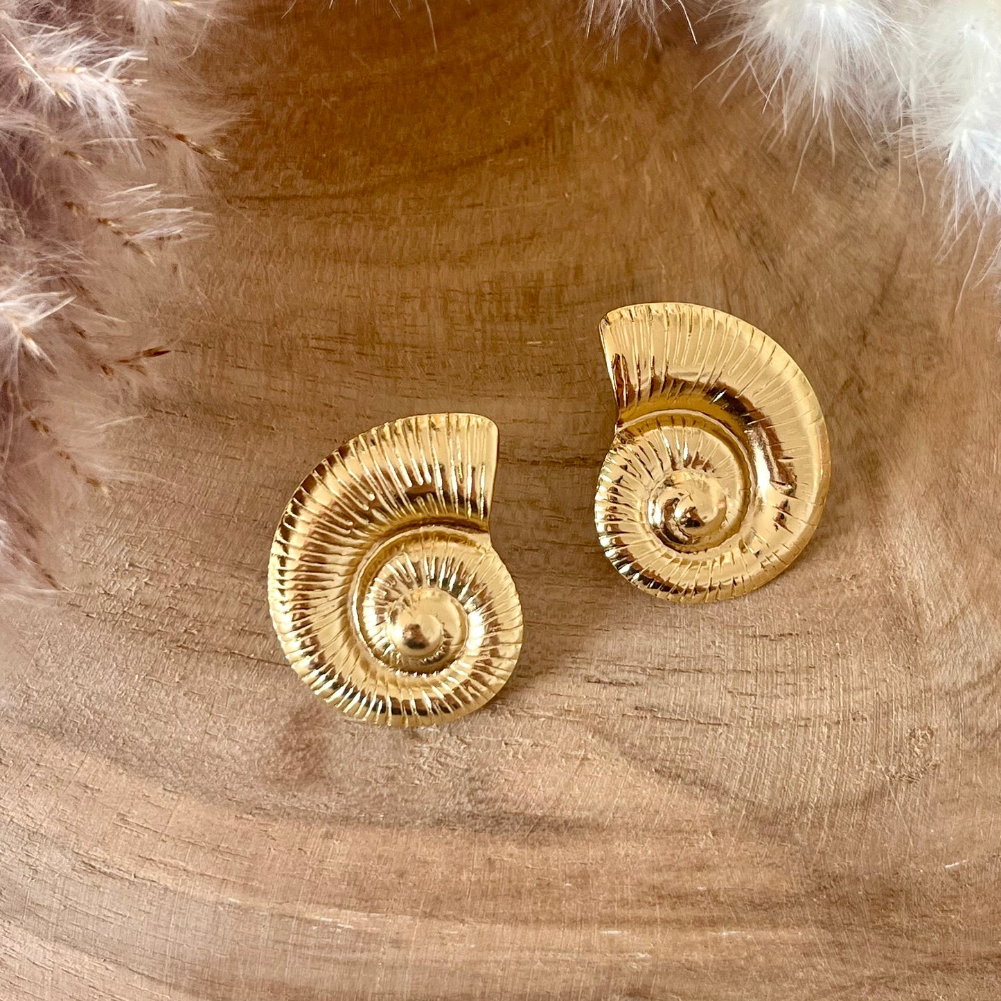 BOUCLES D’OREILLES - NAUTILIA