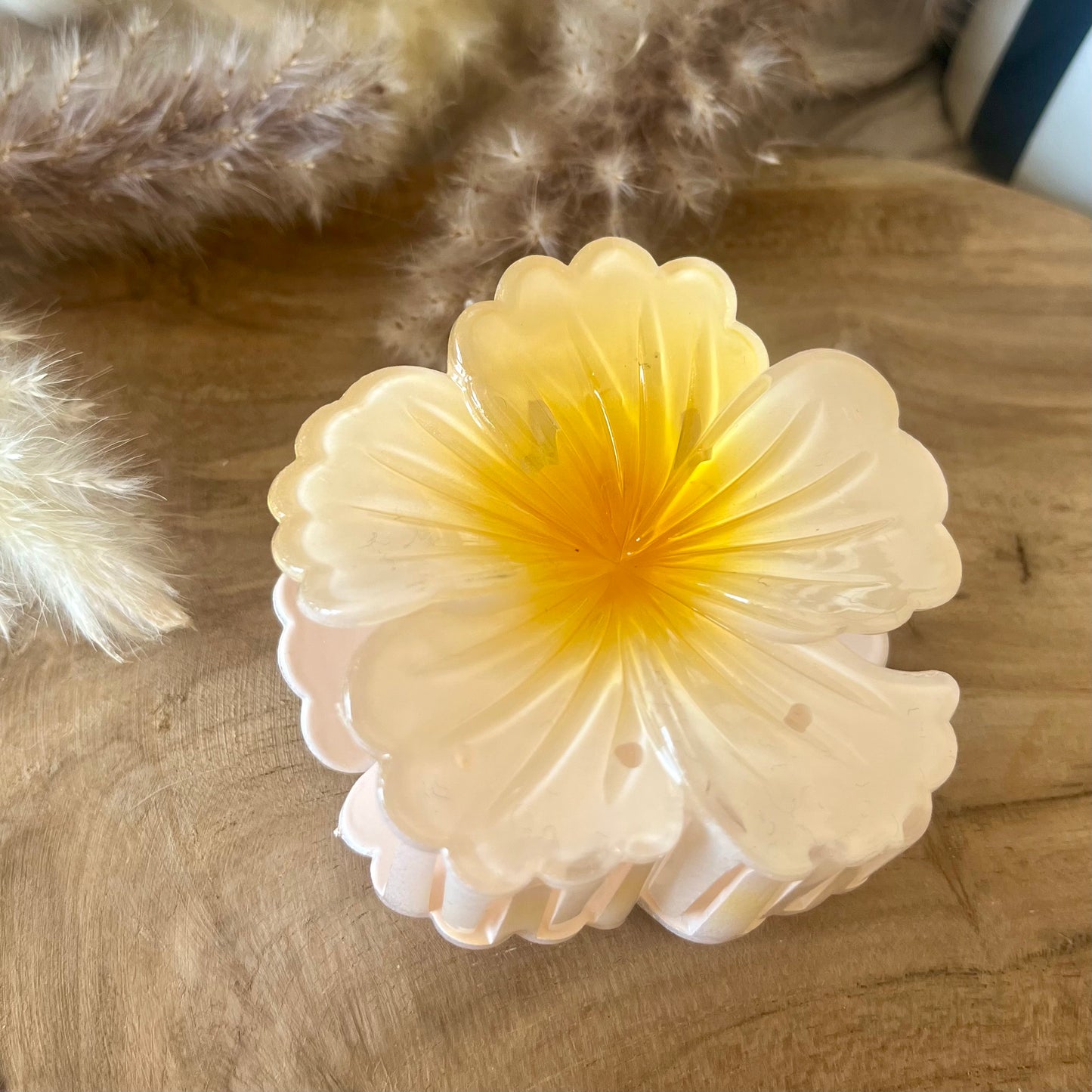 PINCE - HIBISCUS