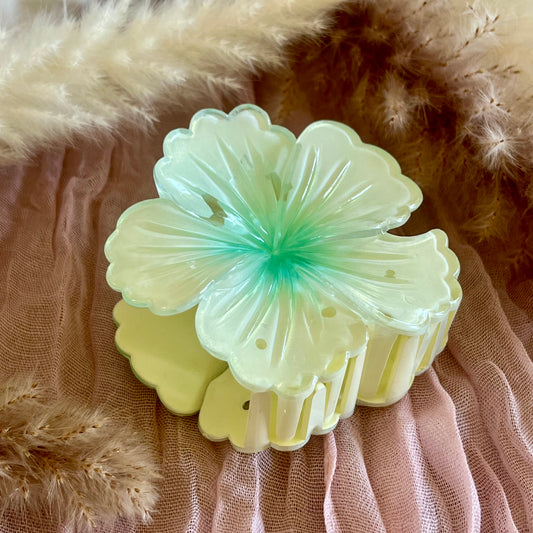 PINCE - HIBISCUS HOLOGRAPHIQUE