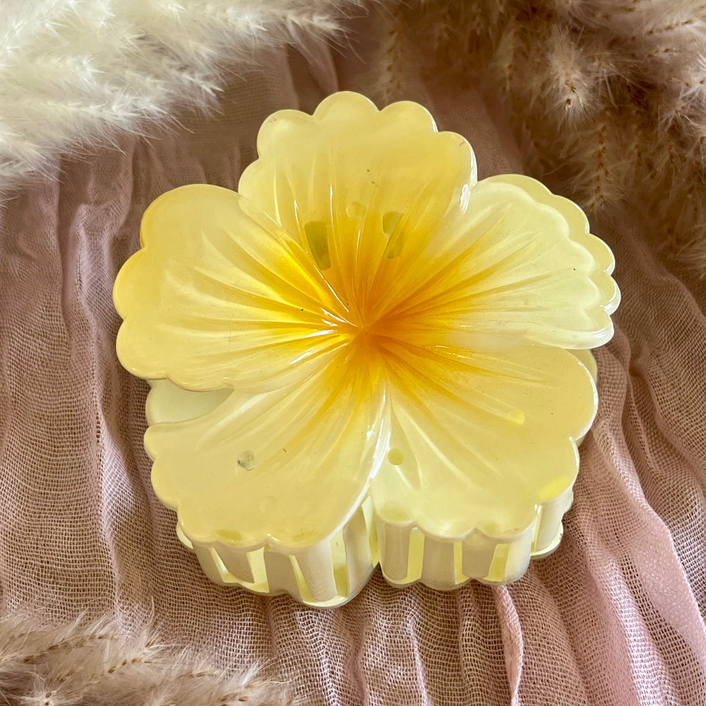 PINCE - HIBISCUS